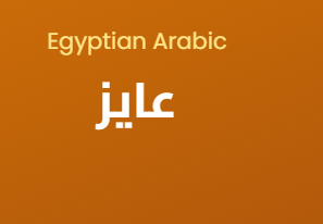 Egyptian Arabic Flashcards&nbsp;1