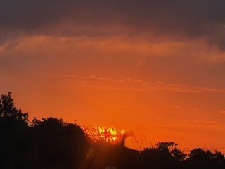 For the First&nbsp;Time